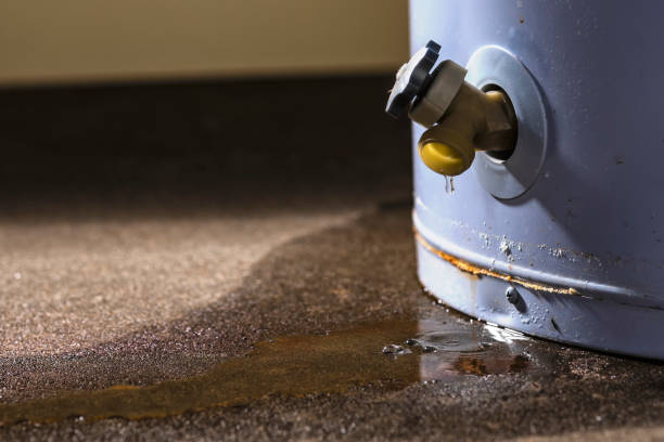 Best Water damage cleanup near me  in Sarasota, FL