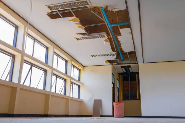 Best Water damage mitigation services  in Sarasota, FL