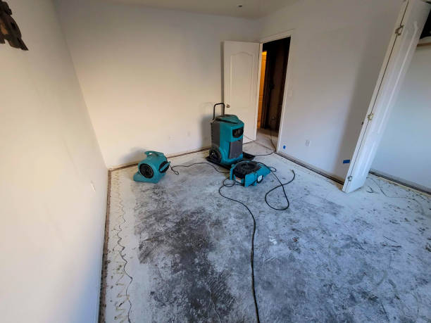 Best Emergency water damage restoration  in Sarasota, FL