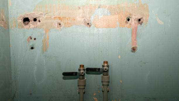 Best Fire Damage Restoration  in Sarasota, FL
