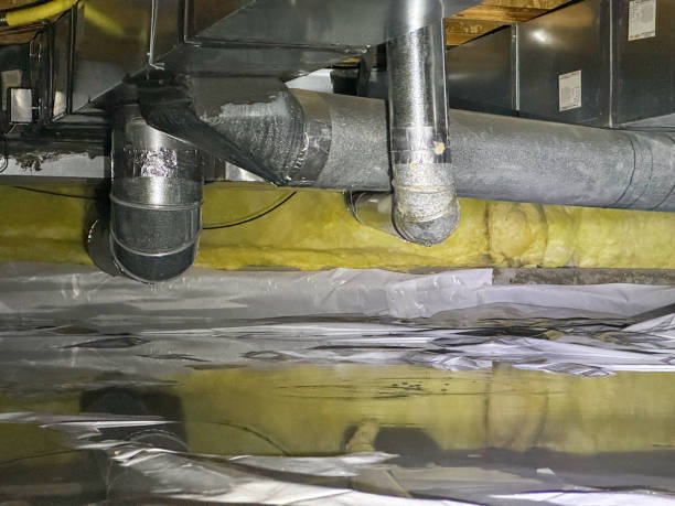 Best Flood restoration services  in Sarasota, FL