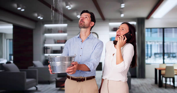Best Flooded house restoration  in Sarasota, FL