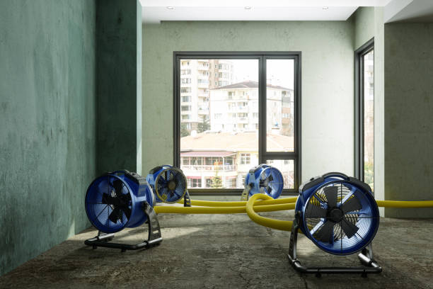 Best Water damage restoration specialists  in Sarasota, FL