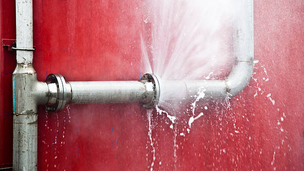 Best Ceiling water damage repair  in Sarasota, FL